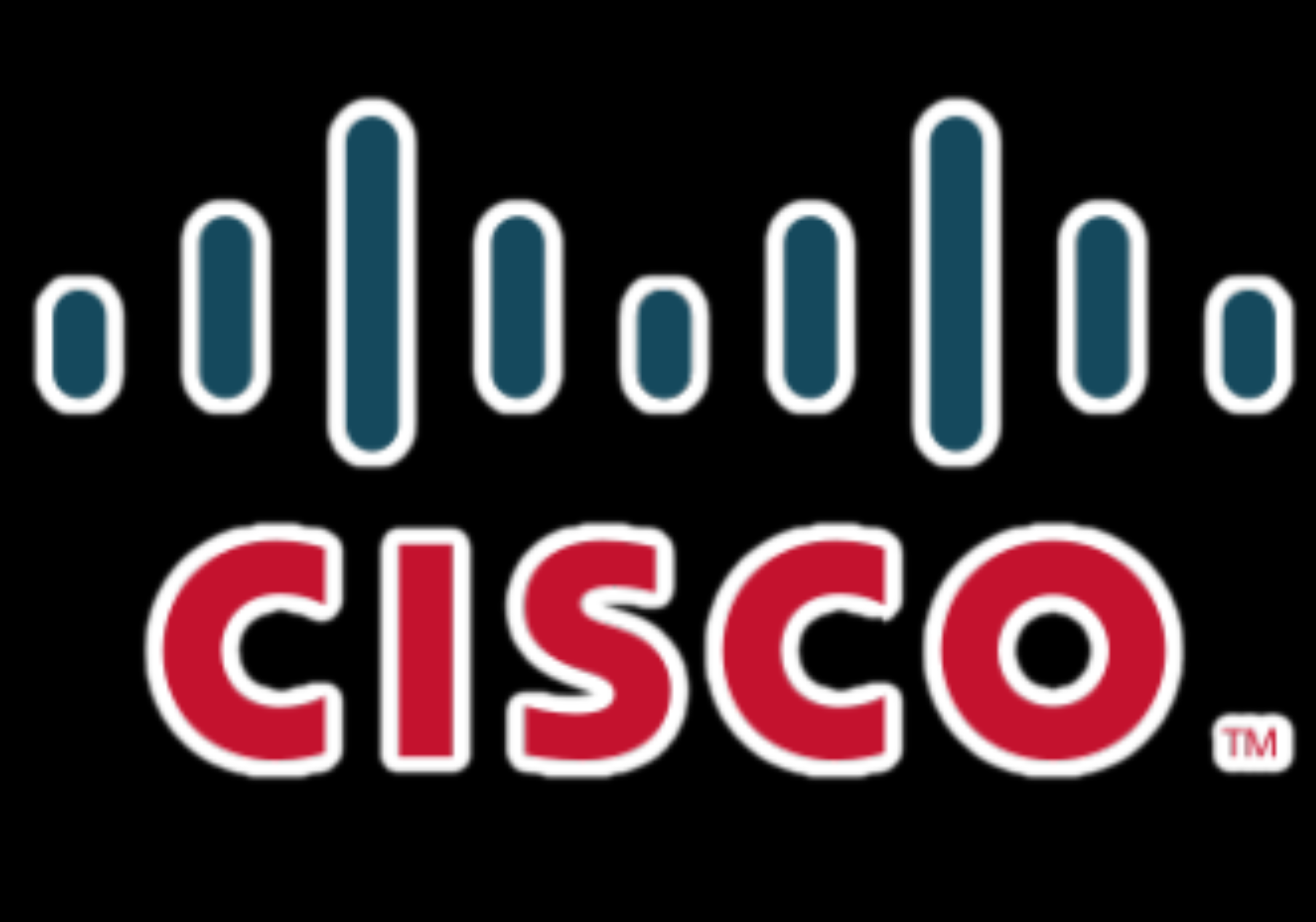 Technology partner 3
